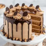 Chocolate Peanut Butter Cake