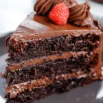 Ultimate Decadent Gluten Free Chocolate Cake